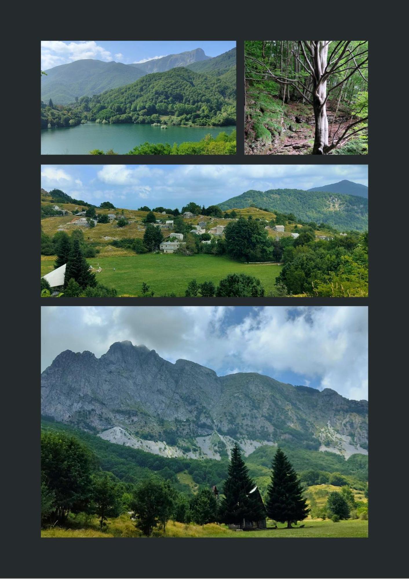 Borgo Del Sole Agriturismo Poggio  Dış mekan fotoğraf