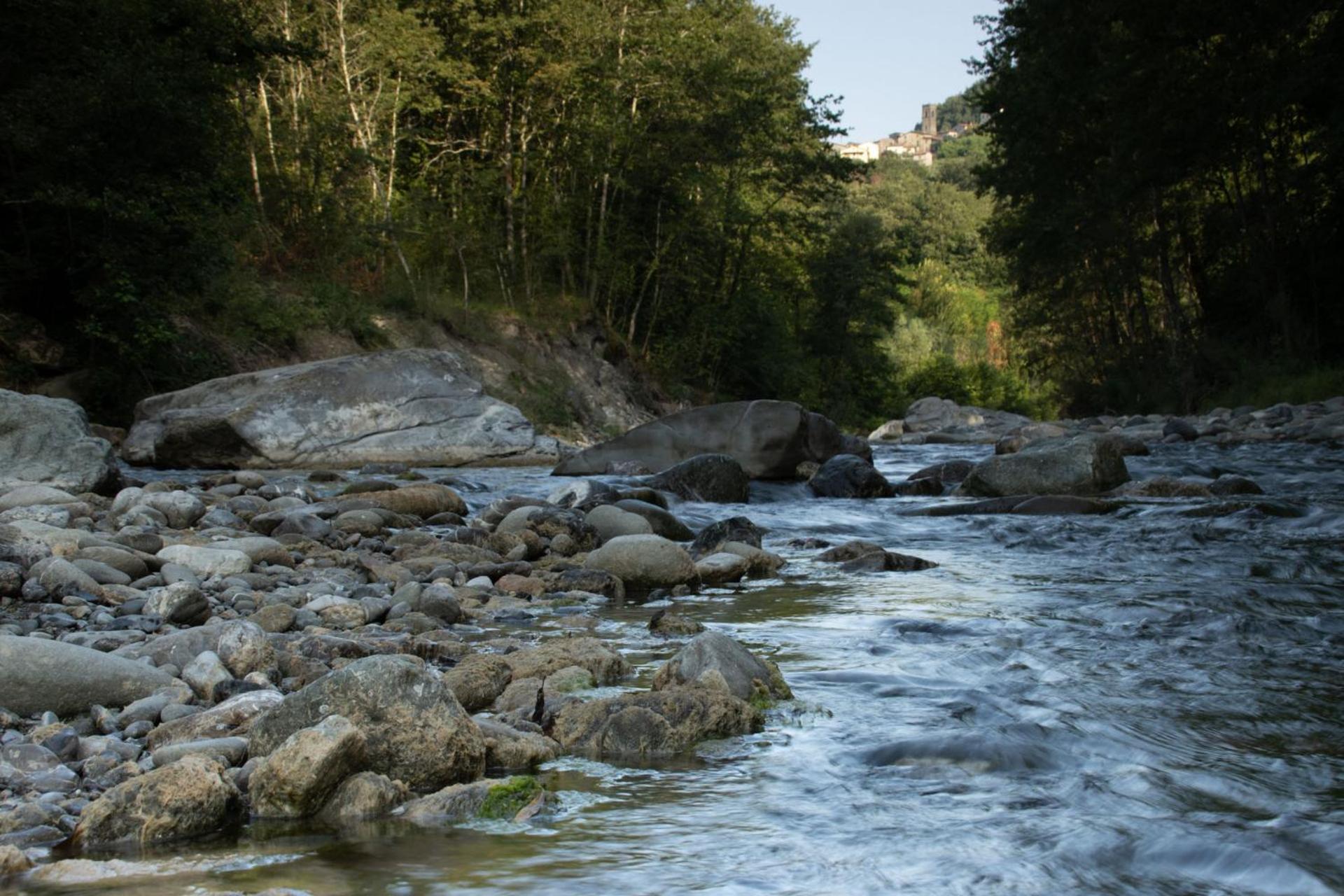 Borgo Del Sole Agriturismo Poggio  Dış mekan fotoğraf